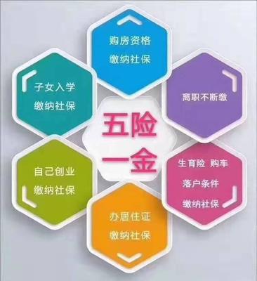 專業清洗與保潔服務 提升公共服務與專業機構的環境品質